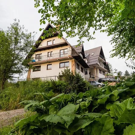 Wojciecha Brzegi By Renters